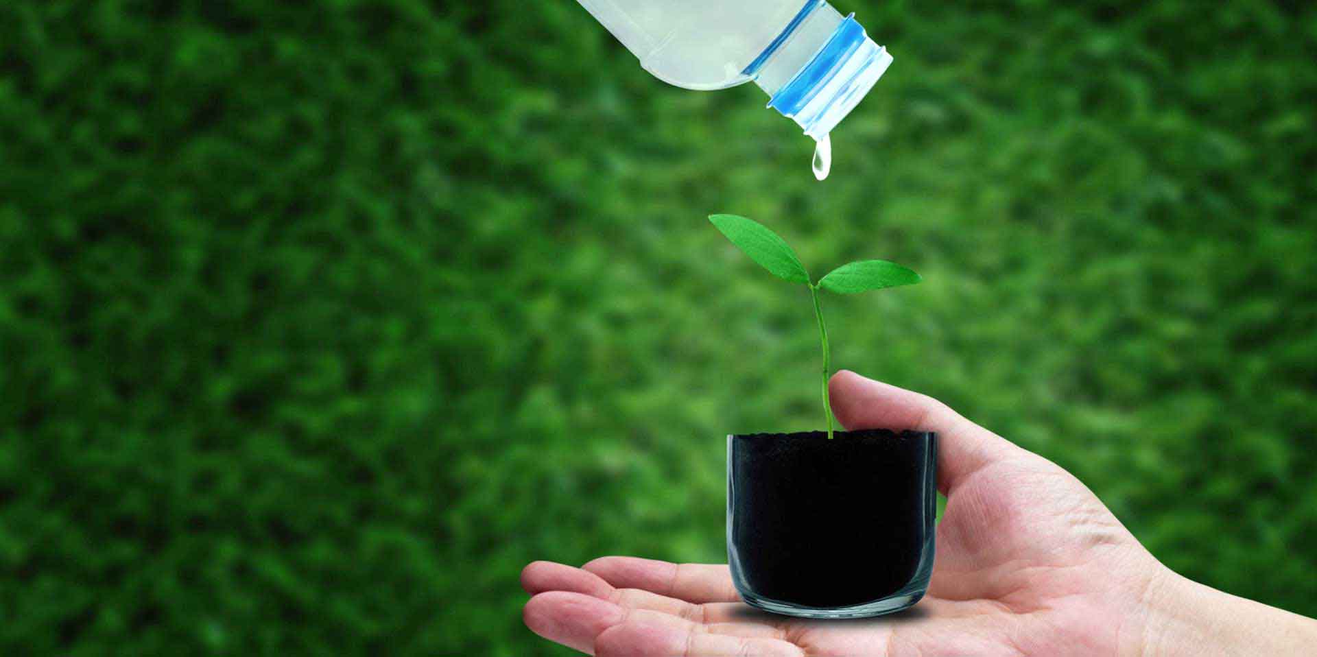 Eco-friendly Water Solutions | 2WS Solutions